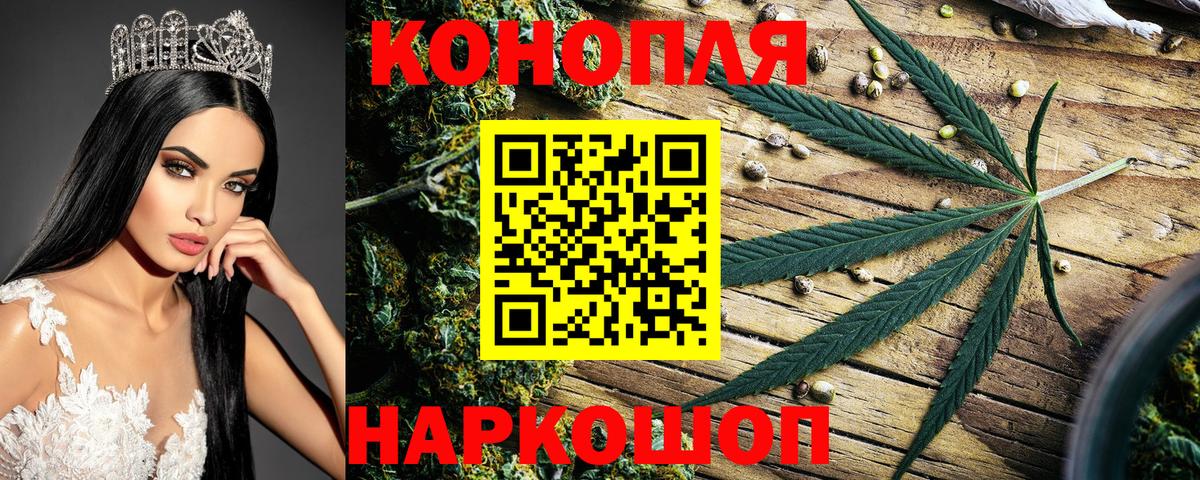 МАРИХУАНА OG Kush Отрадный